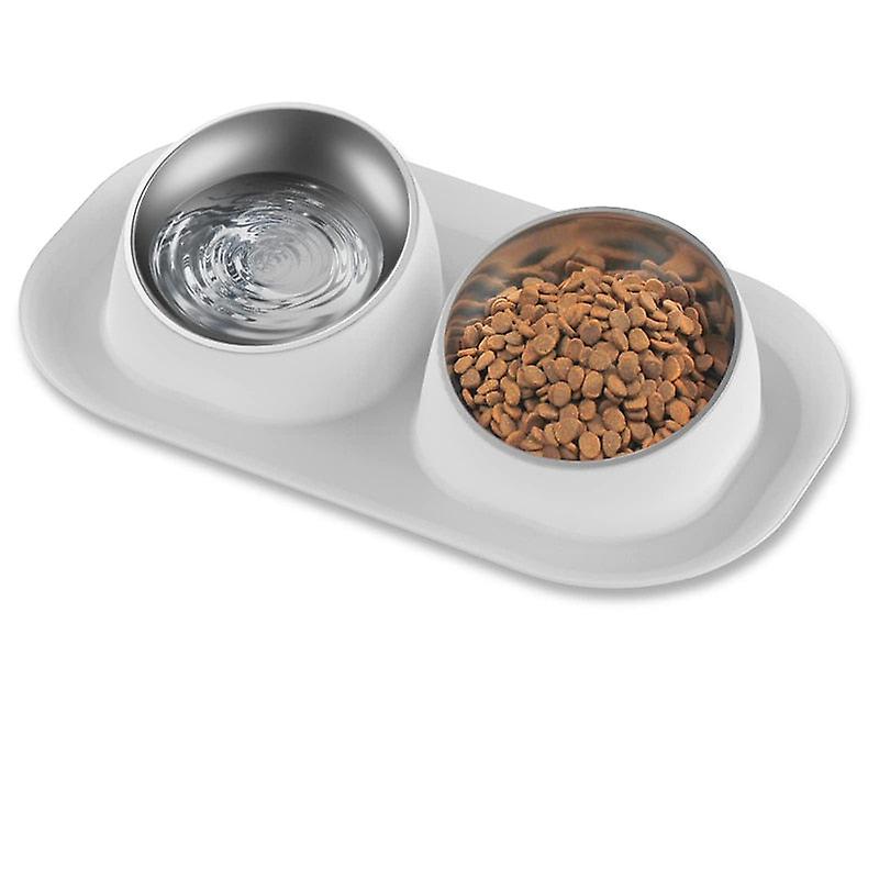 Stainless steel tilted dog feeding bowl