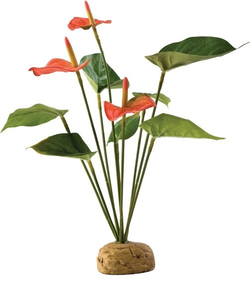 Exo Terra Anthurium Bush Reptile Terrarium Plant