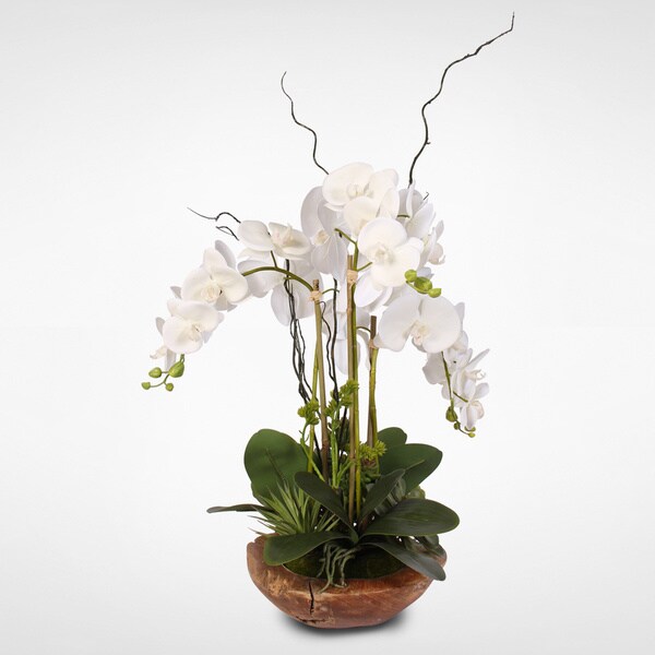 Real Touch Phalaenopsis Silk Orchid with Curly Willow in Natural Teak Wood Bowl