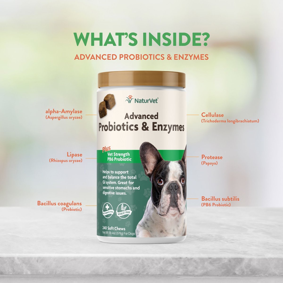 NaturVet Advanced Probiotics and Enzymes Plus Vet Strength PB6 Probiotic Soft Chews Digestive Supplement for Dogs