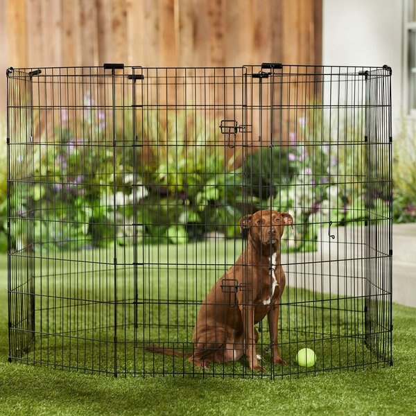 Frisco Wire Dog and Small Pet Exercise Pen with Step-Through Door