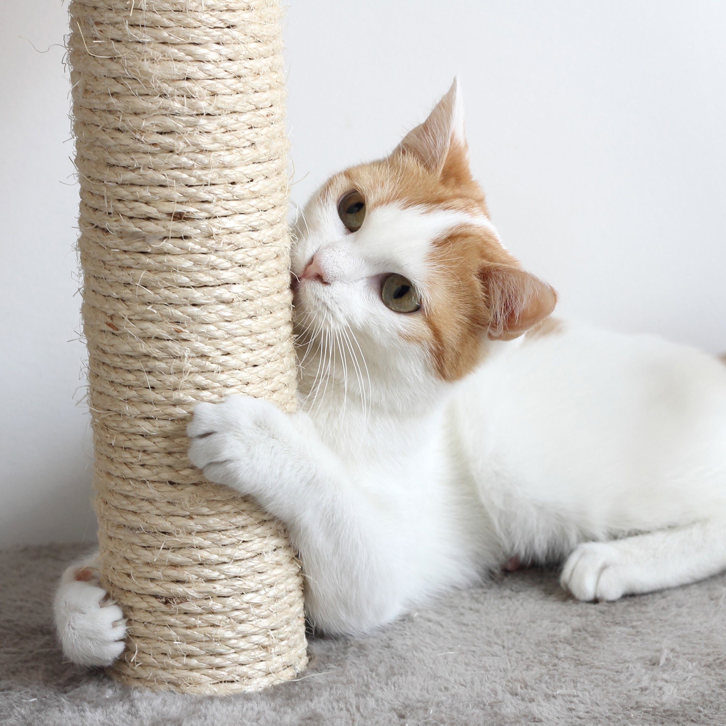 4-Tier Cat Tower with Napping Perches， Cat Condo， Ladder， 5 Sisal Rope Scratching Posts， Hanging Toy – Cat Tree for Indoor Cats by Petmaker (White)