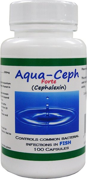 Midland Vet Services Aqua-Ceph Forte Cephalexin Fish Antibiotic， 100 count