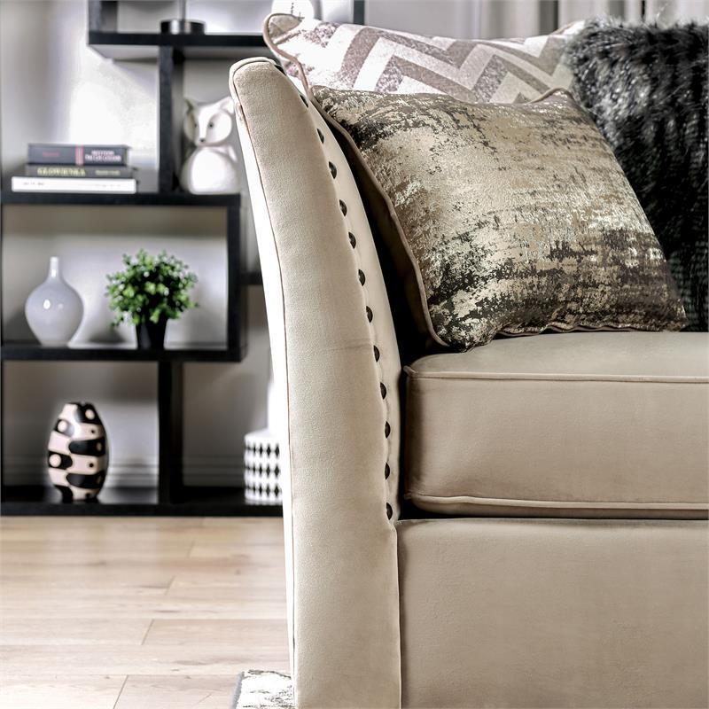 Furniture of America Keinisha Transitional Fabric Nailhead Loveseat in Beige   Transitional   Loveseats   by Homesquare  Houzz