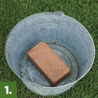 Burpee 8 qt. Concentrated Seed Starting Mix BP8CRBL