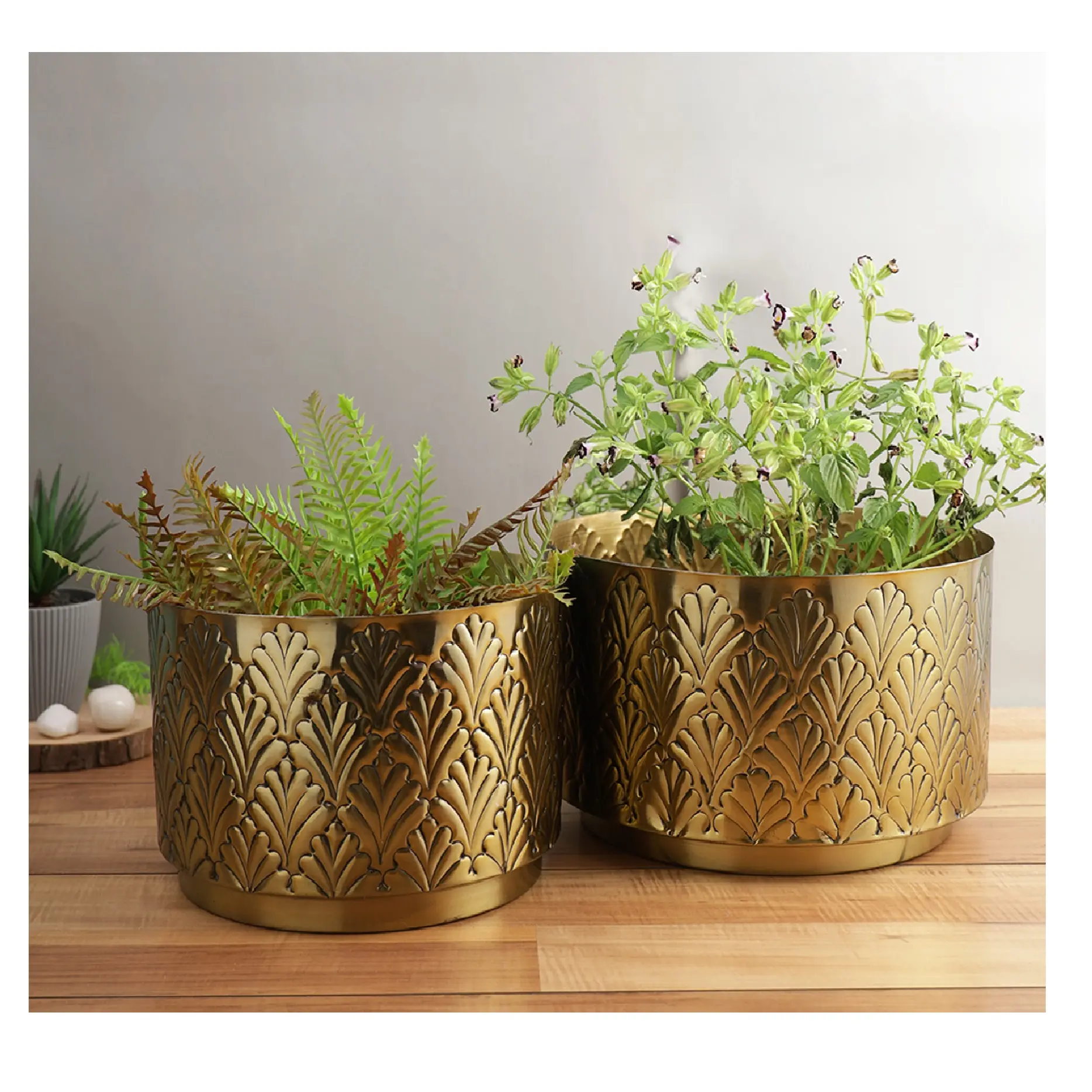 Customisable Tall Round Classic Designer Iron Decorative Luxury Metal Planter Set Of 2 With High Quality Stand New Arrival