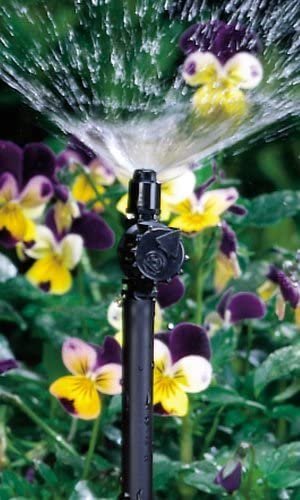 Rain Bird MSF2PK Drip Irrigation Threaded Micro-Spray， 360 Full Circle Pattern， 2-Pack， Model: MSF2PKS， Home and Garden Store