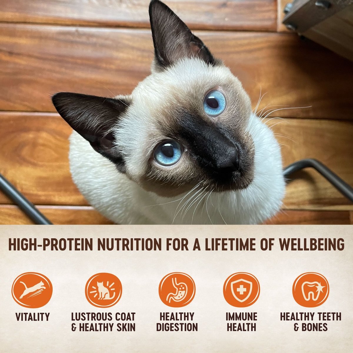 Wellness CORE Natural Grain-Free Turkey and Chicken Liver Pate Canned Kitten Food