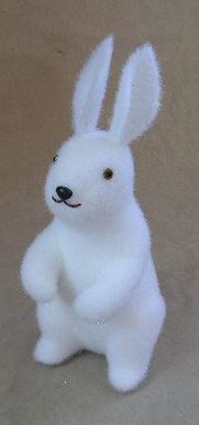 12 White Bunny Rabbit Standing