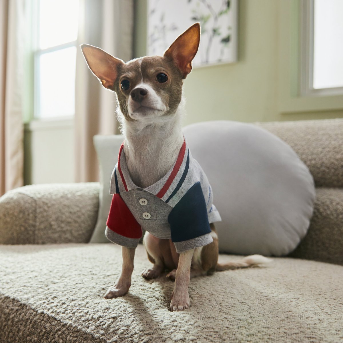 Frisco Nautical Polo Dog and Cat Shirt