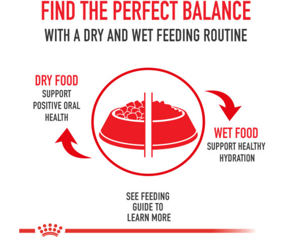 Royal Canin Indoor Adult Dry Cat Food