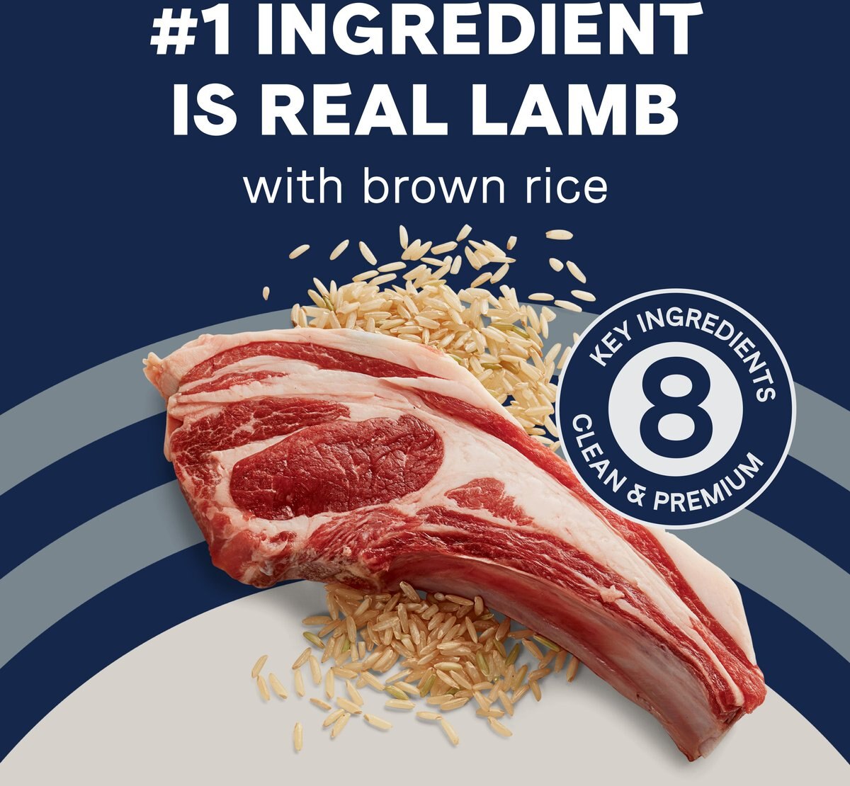 CANIDAE Pure Goodness Real Lamb and Brown Rice Recipe