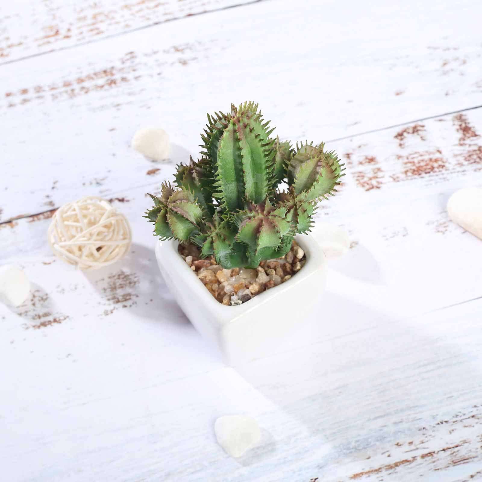 3 Pack Ceramic Planter Pot and Artificial Cacti Succulent Plants 5