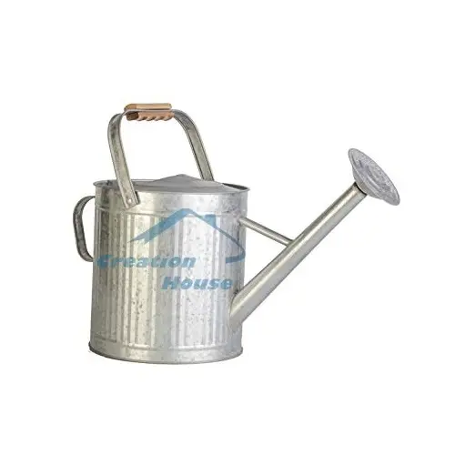 Vintage Design Watering Can Newly Design Garden Metal Sprinkling Can Watering Pot Customized Hot Selling At Cheap Price