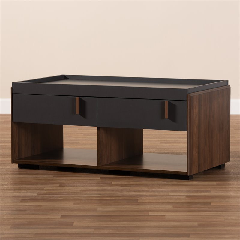 Baxton Studio Rikke 2 Drawer Wood Coffee Table in Gray and Walnut   Transitional   Coffee Tables   by Homesquare  Houzz