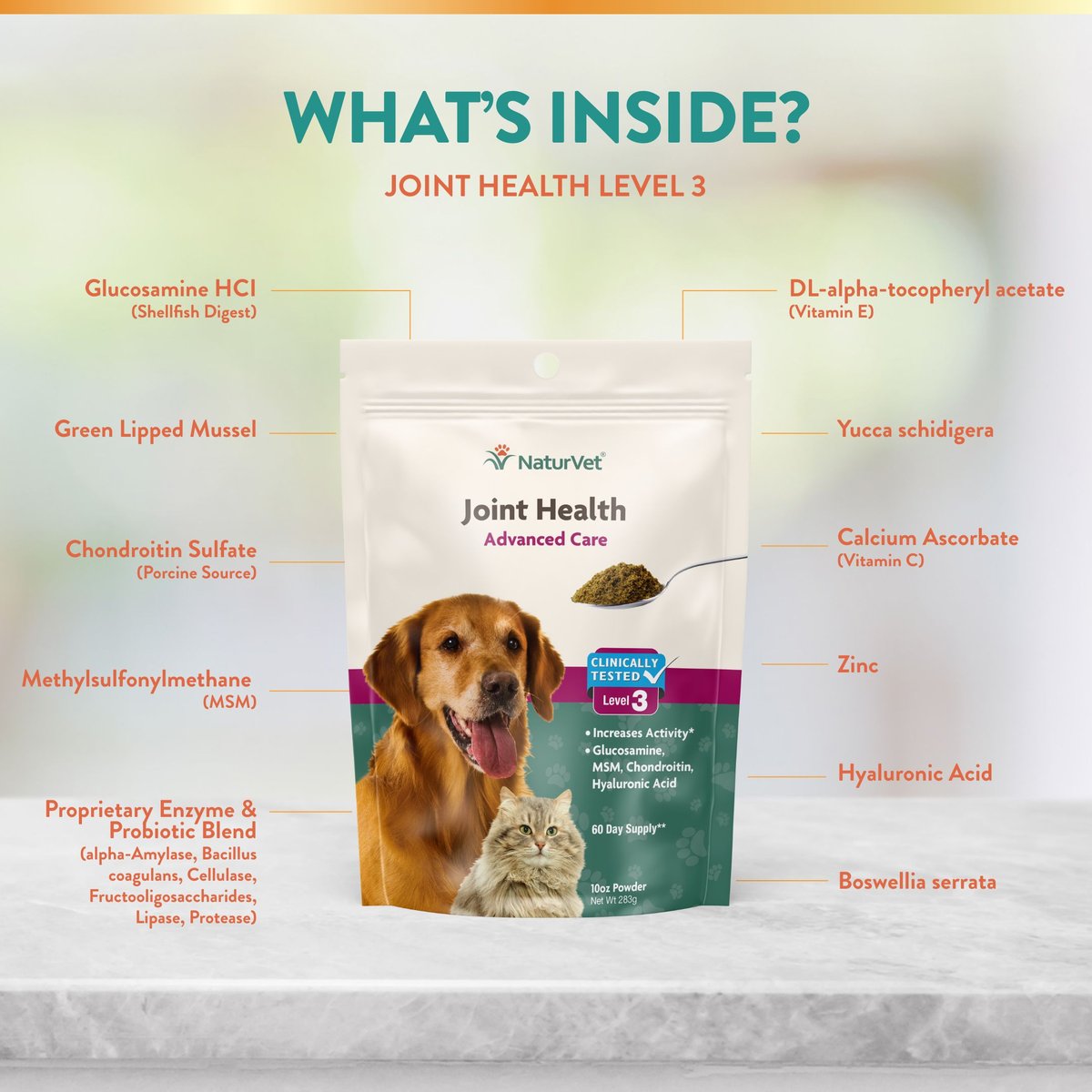 NaturVet Joint Health Advanced Care Powder Joint Supplement for Cats and Dogs