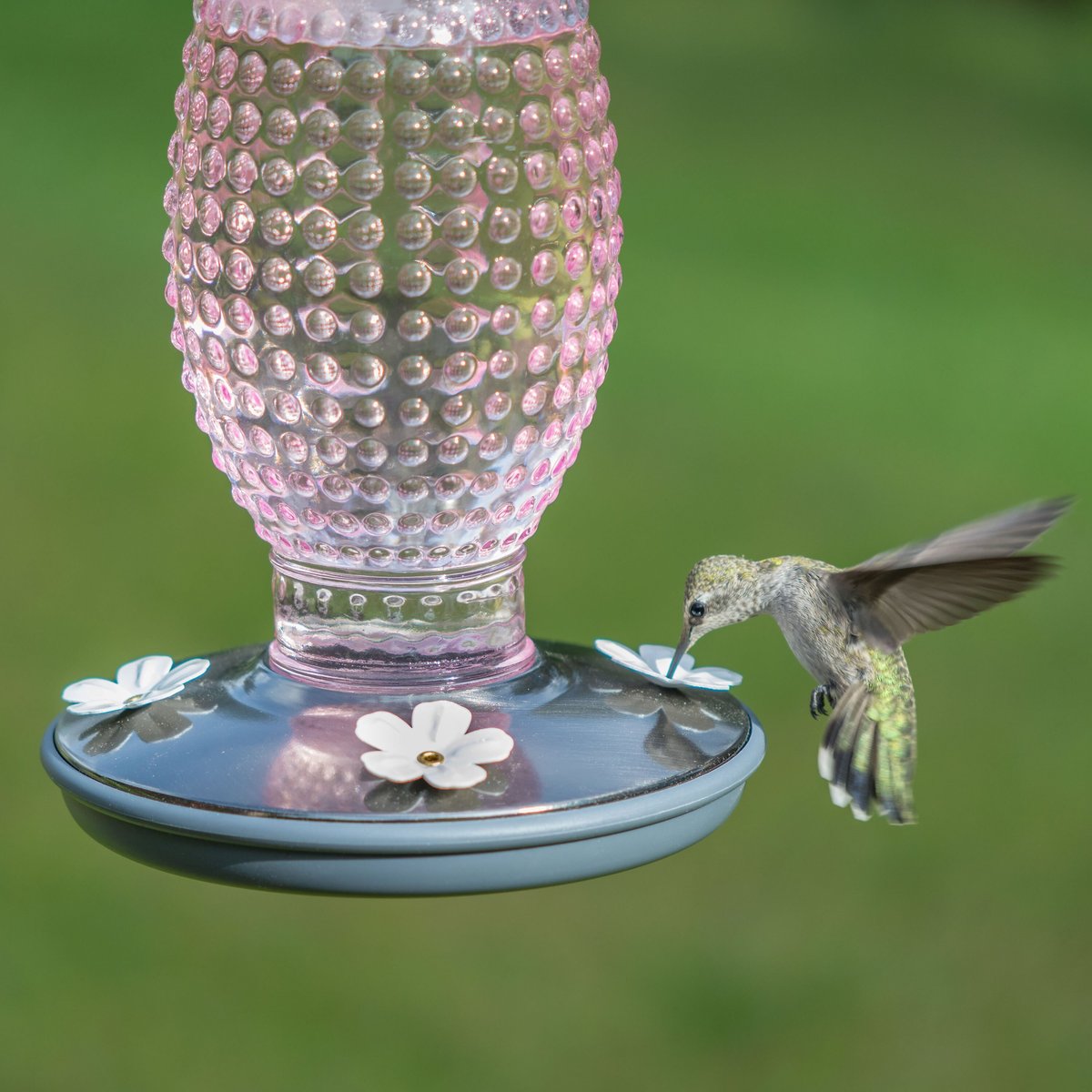 Perky-Pet Hobnail Vintage Hummingbird Feeder