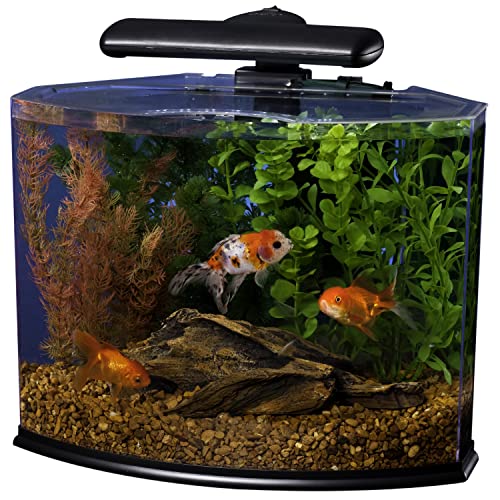 Tetra Crescent aquarium Kit 5 Gallons， Curved-Front Tank With LEDs