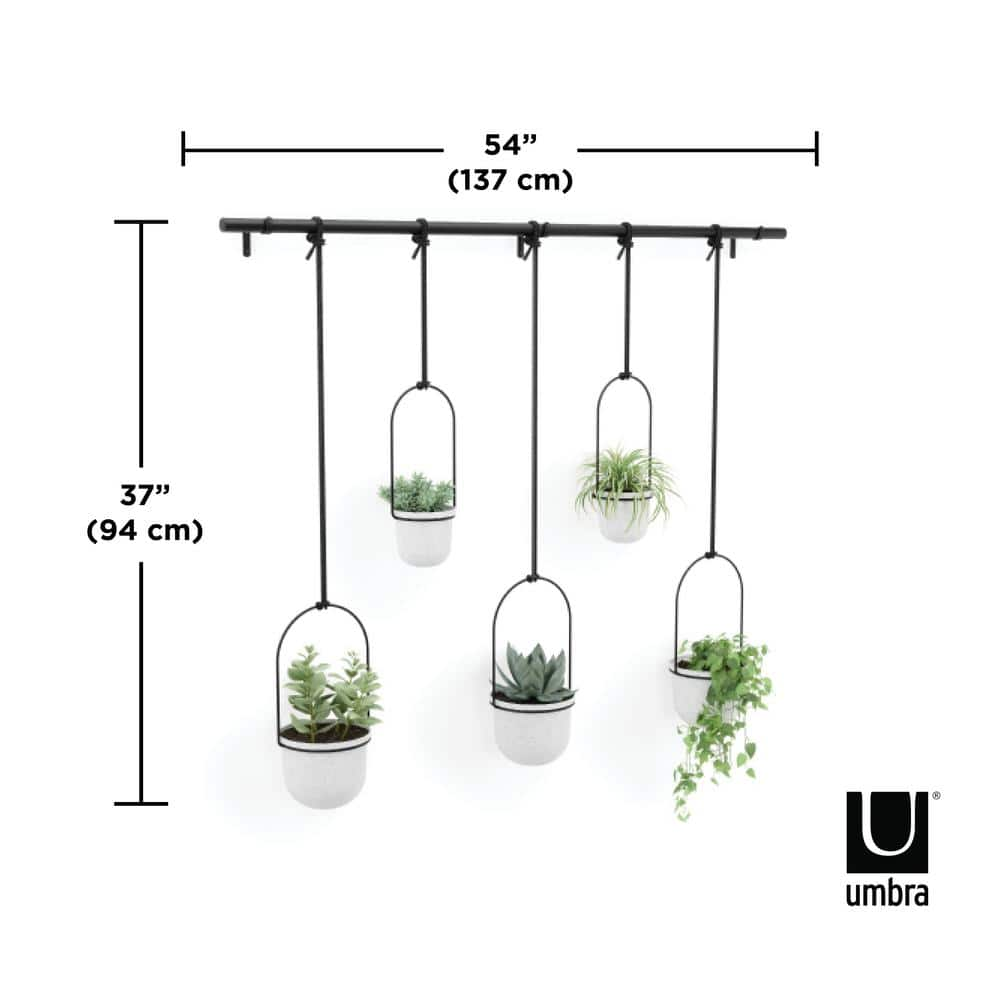 Umbra Triflora Hanging Plastic Planter White (Set of 5) 1018086-660