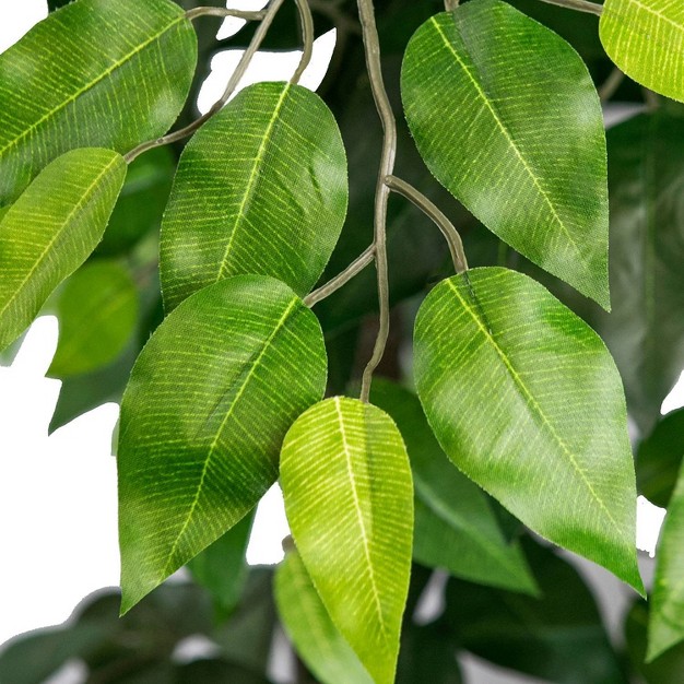 Artificial Ficus Tree In Basket - Lcg Florals