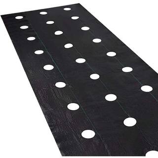 Agfabric 4 ft. x 6 ft. Weed Control Fabric Planting Holes Eco-Friendly for Vegetable Garden Landscape with 6 in. Dia GC300406H4R1