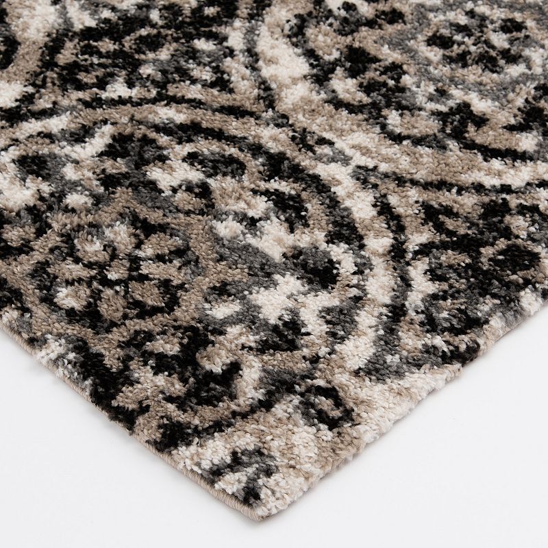 Loomaknoti Quatra Area Rug