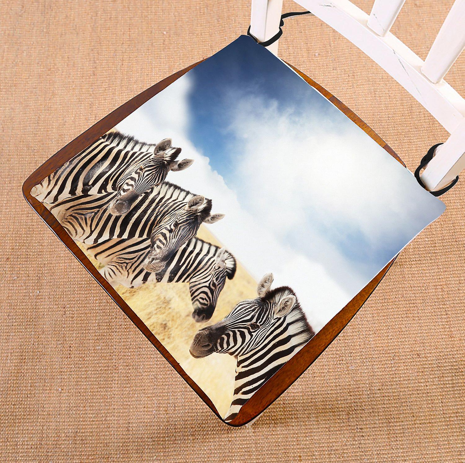 Beautiful Sky Cloud Chair Pad， Funny Animal Safari Zebras Herd Seat Cushion Chair Cushion Floor Cushion 50x50 Cm