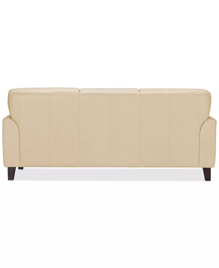 Furniture Ashlinn 84 Pastel Leather Sofa