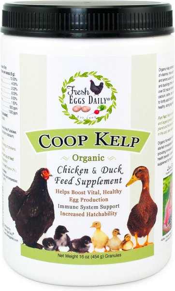 Fresh Eggs Daily Coop Kelp Organic Chicken and Duck Supplement