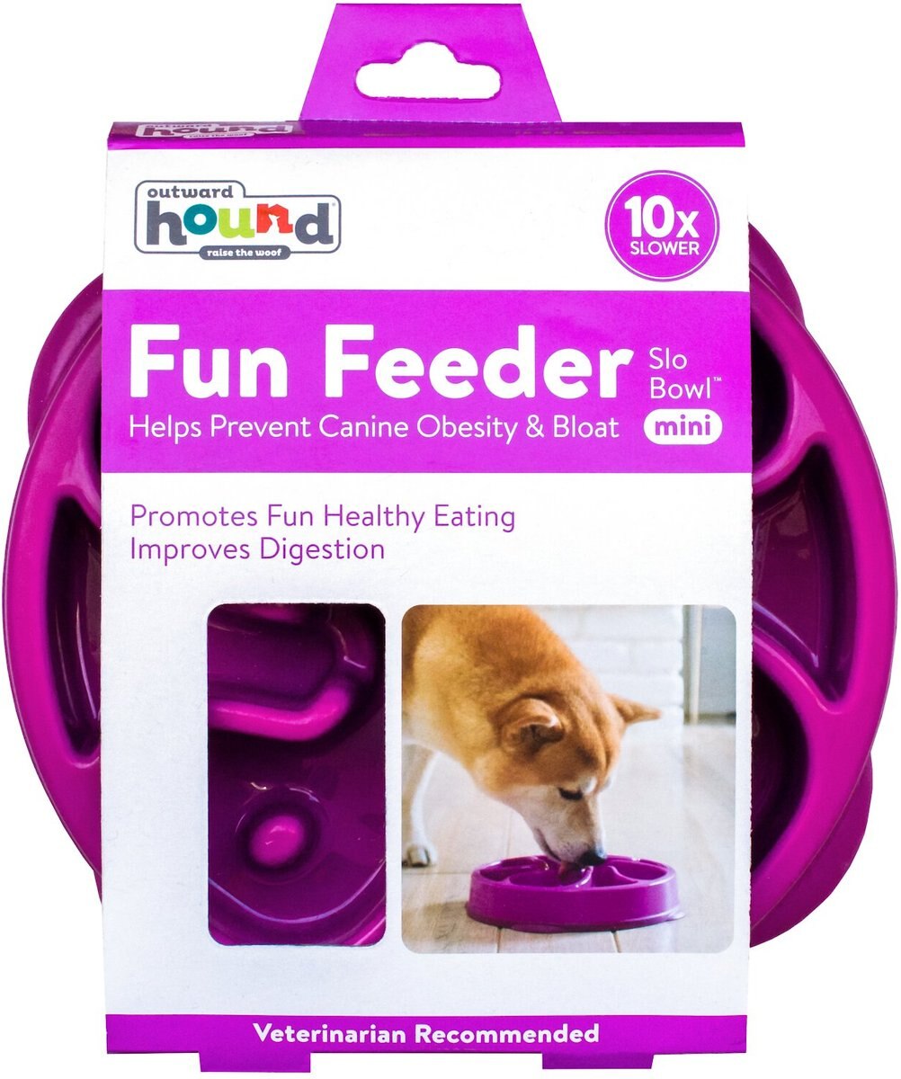 Outward Hound Fun Feeder Interactive Dog Bowl， Purple