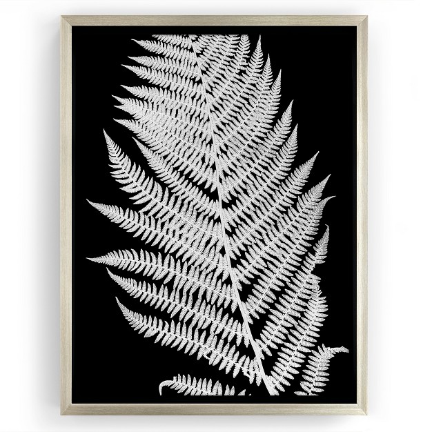 Americanflat White Fern Ii By Chaos amp Wonder Design Floating Canvas Frame Modern Wall Art Decor