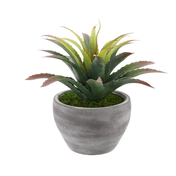 Faux Star Succulent in GreyWashed Ceramic Vase