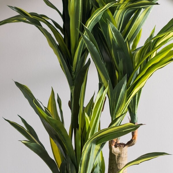 Vickerman 52 Green and Yellow Dracaena Everyday Tree