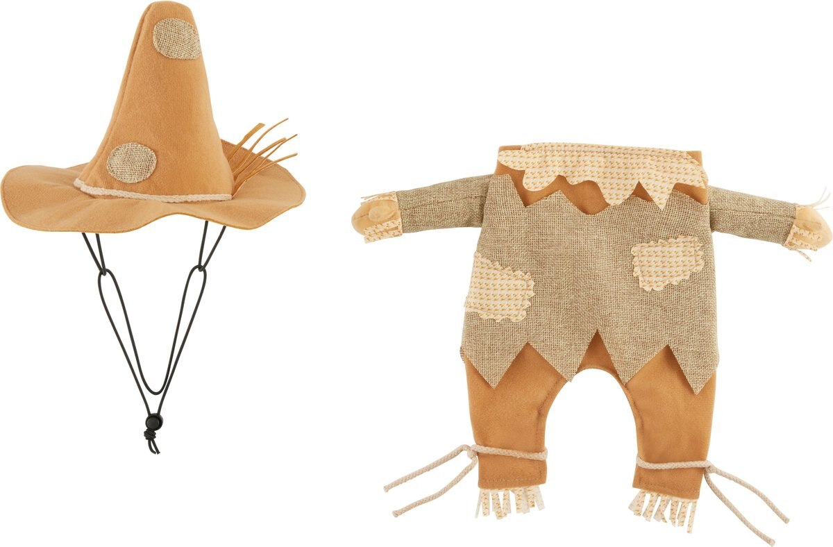 Frisco Front Walking Scarecrow Dog and Cat Costume