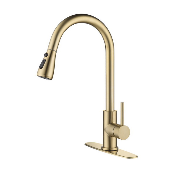 Kitchen Faucet with Pull Out Spraye TH 4003LSJ