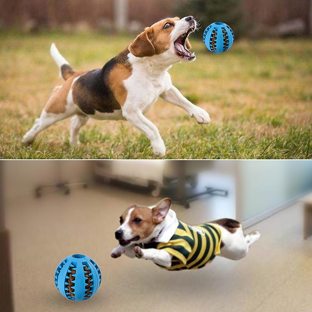 Dog Toy Ball Durable Mint-scented Chew Ball Toys Pet Food Dispensing Treat Ball Educational Food Feeding Ball For Puppy Cats Blue S