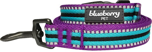 Blueberry Pet 3M Striped Polyester Reflective Dog Leash