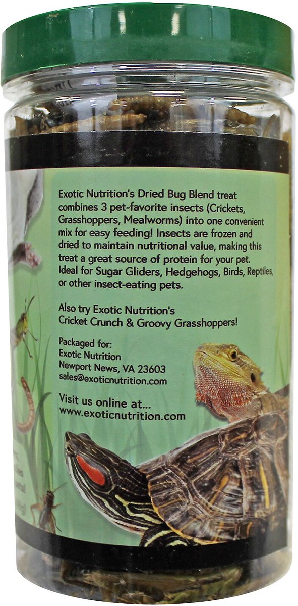 Exotic Nutrition Bug Blend Small Animal Treats， 1.71-oz jar