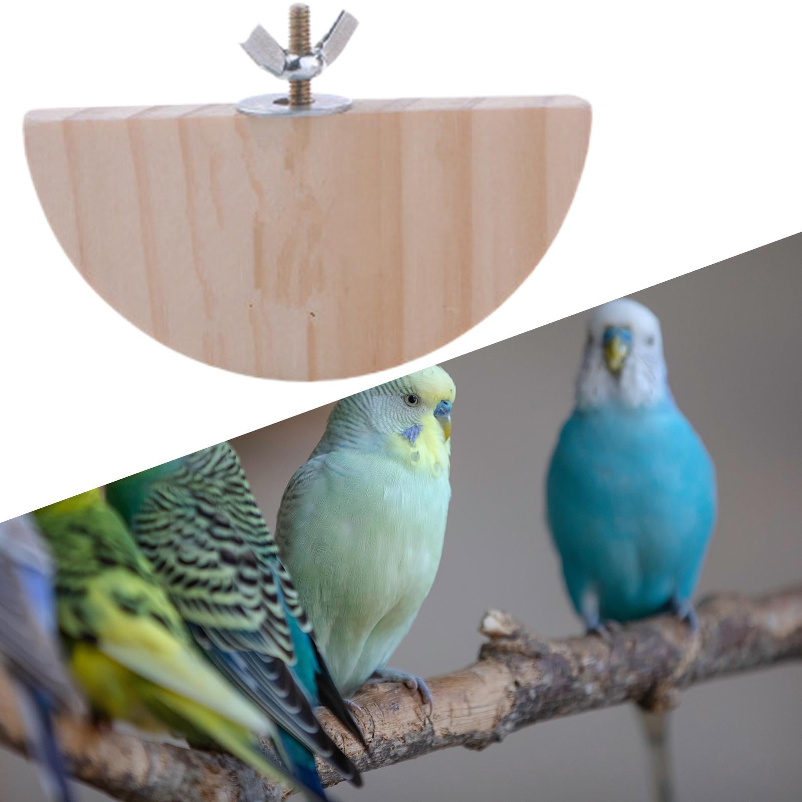 Bird Perch Stand Parrot Platform Play Toy for Cockatiels Squirrel Gerbil Rat