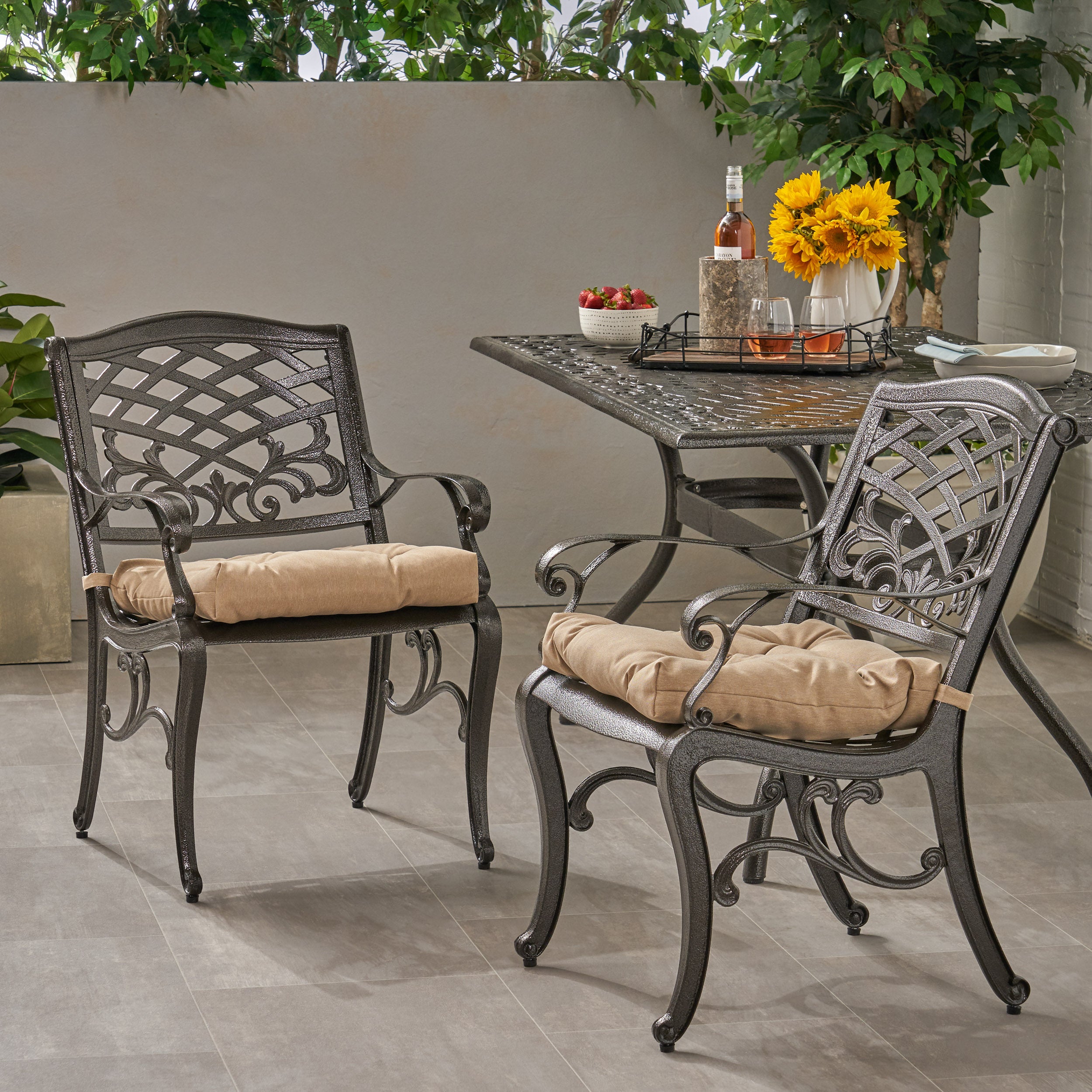 Juel Outdoor Dining Chair with Cushion (Set of 2)