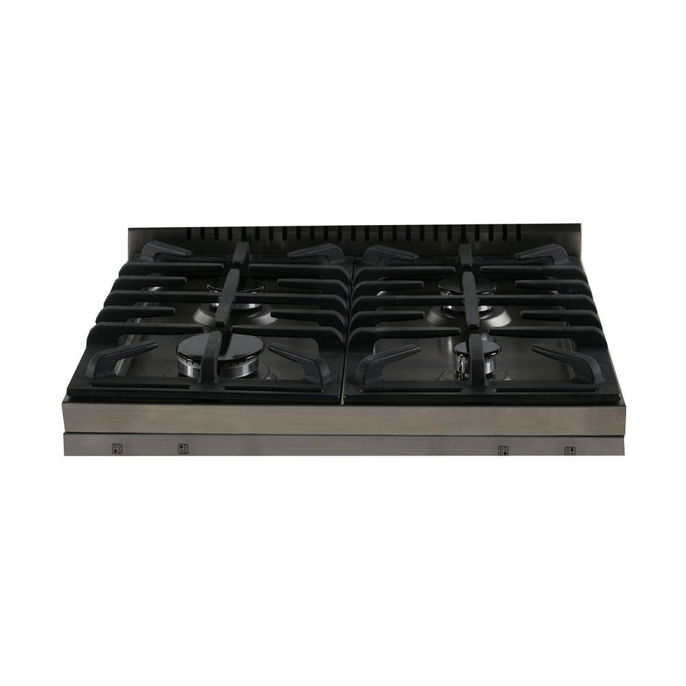 Avanti Elite Series 20 in. 2.1 cu. ft. Gas Range in Stainless Steel DGR20P3S