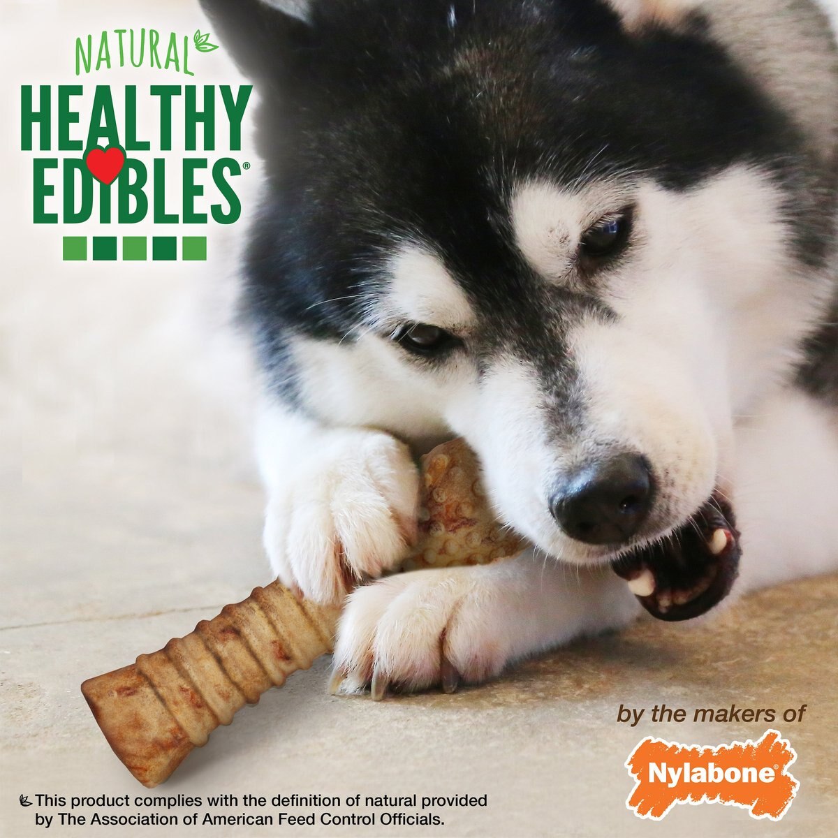 Nylabone Healthy Edibles All-Natural Long Lasting Turkey and Apple Flavor Dog Chew Treats， X-Large