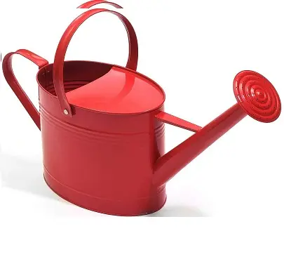 Wholesale Customized High Quality Stainless Steel Watering Can With Long Spout Water Cans For Outdoor Garden