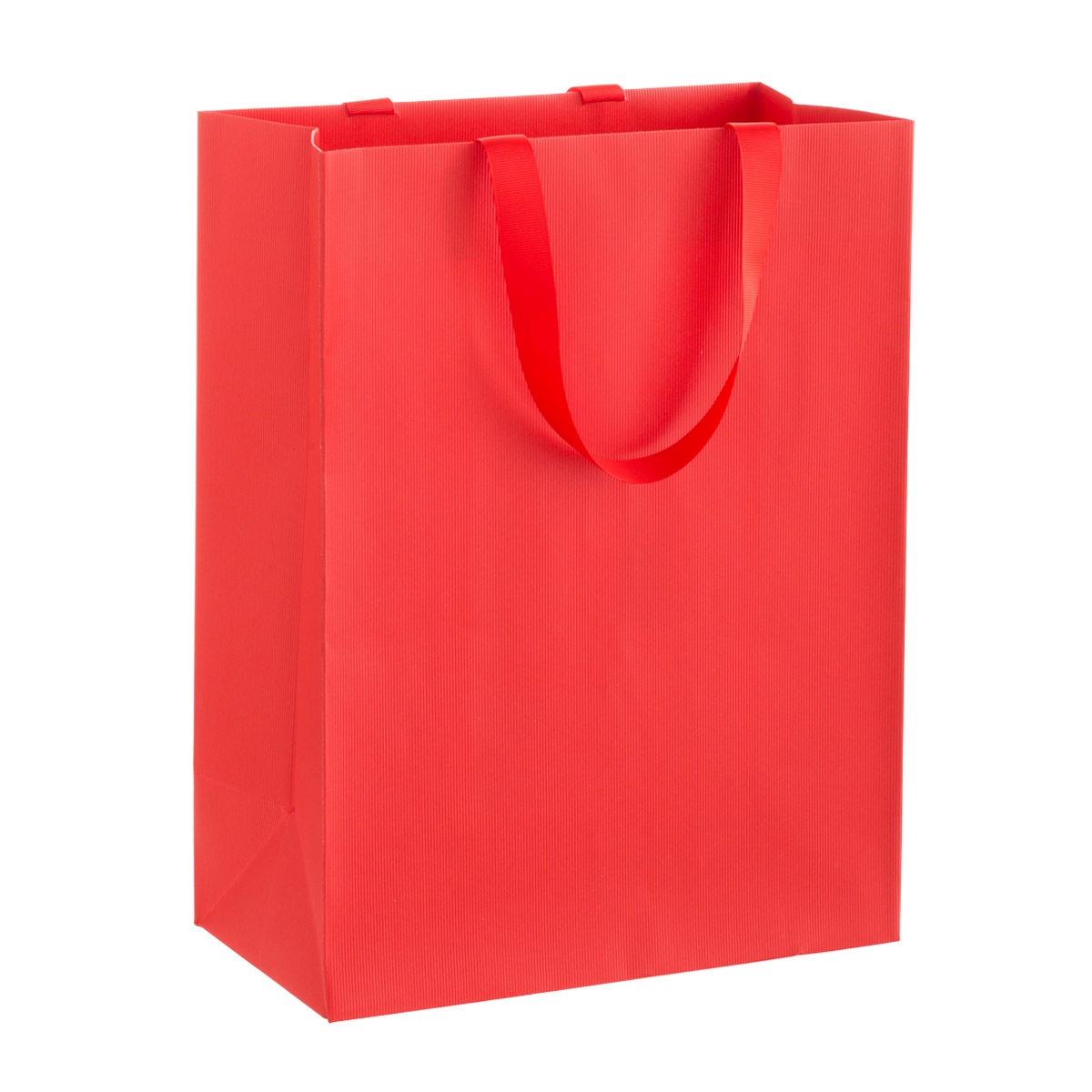 Large Gift Bag