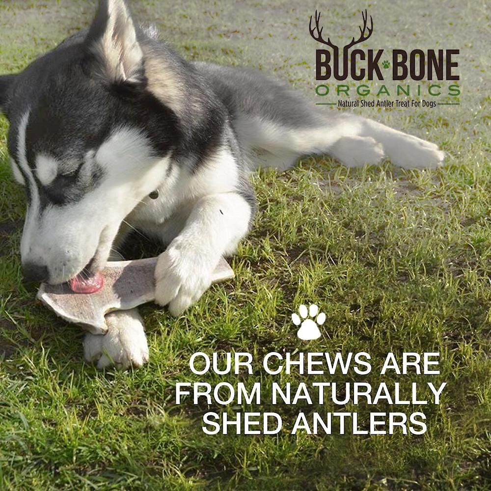 Buck Bone Organics Whole Deer Antlers Dog Chews