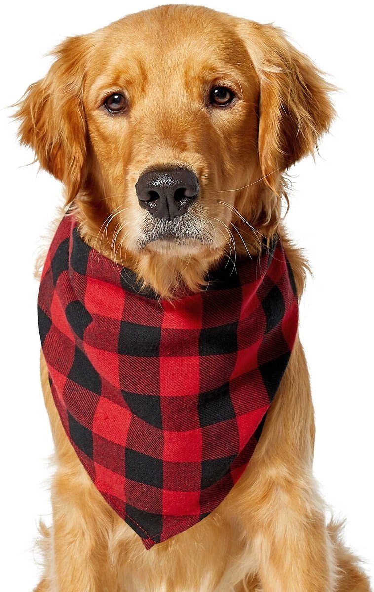 Red Buffalo Plaid Dog and Cat Bandana