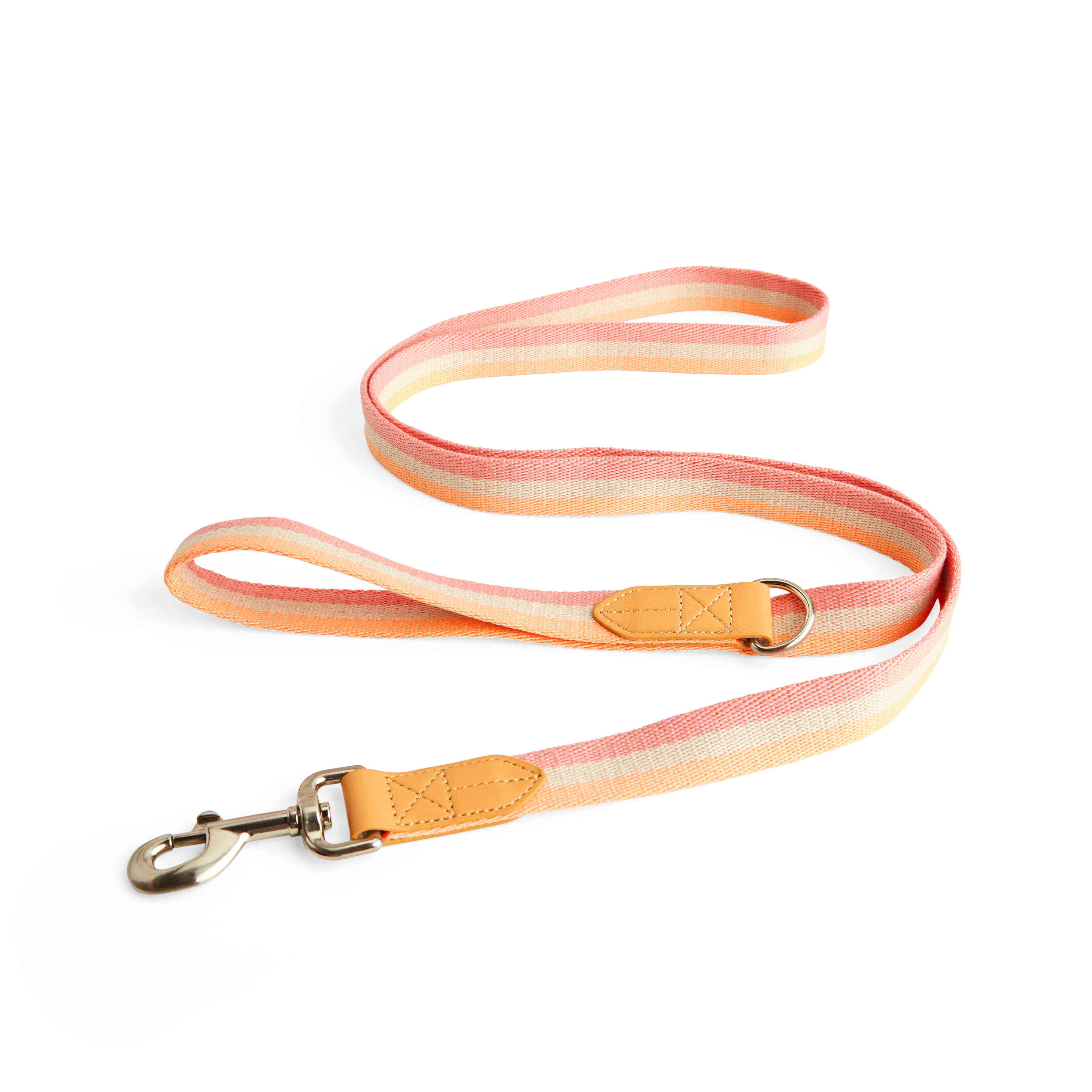 YOULY Creamsicle Dog Leash， 6 ft.