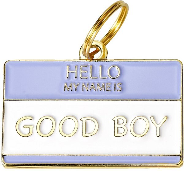 Two Tails Pet Company Hello My Name Is Good Boy Personalized Dog and Cat ID Tag