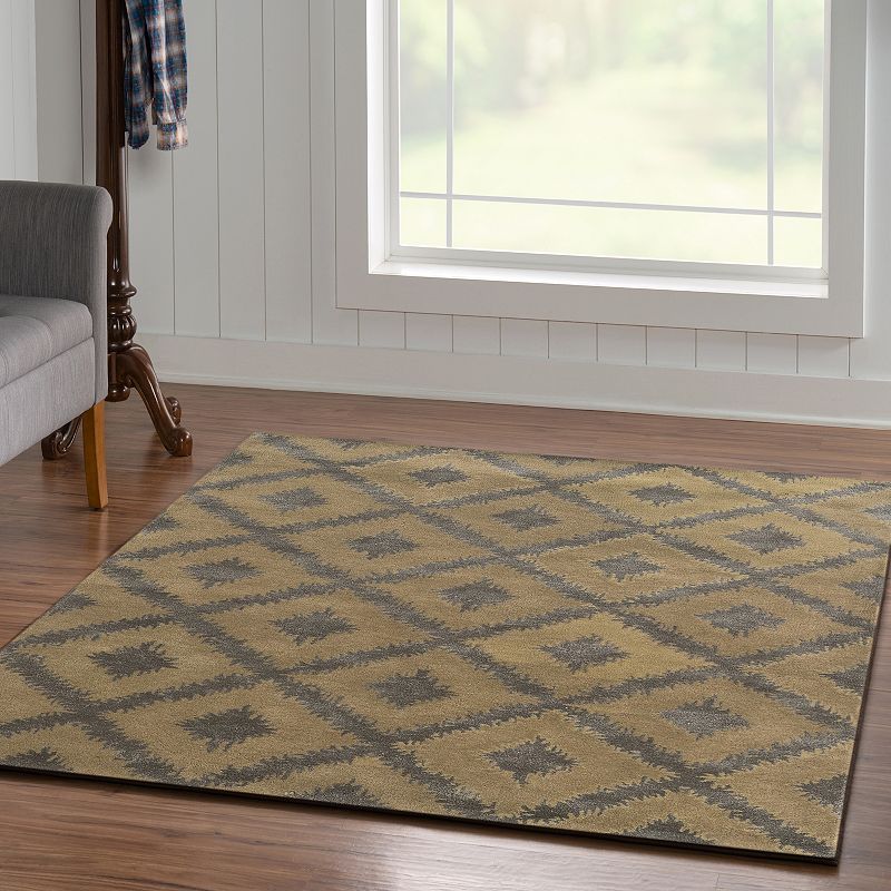 Linon Aspire Kilim Rug