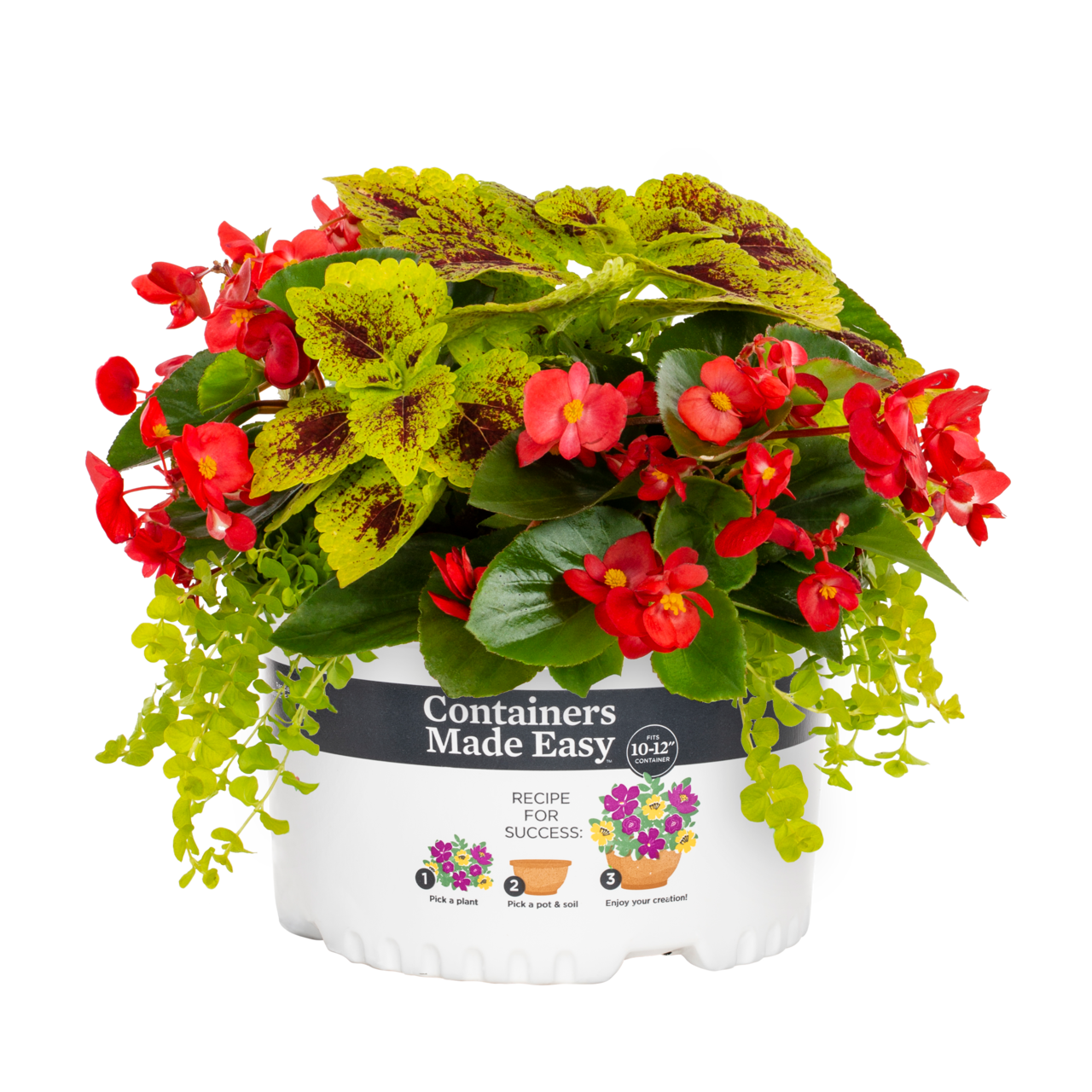 Containers Made Easy with Better Homes and Gardens 1.5 Gallon Multi-color Coleus Begonia Lysimachia Combo Annual Live Plant 1-Count with Grower Pot